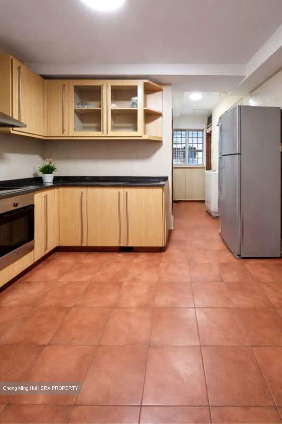 Modena (D18), Condominium #526993221